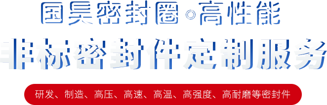 非标密封件定制服务